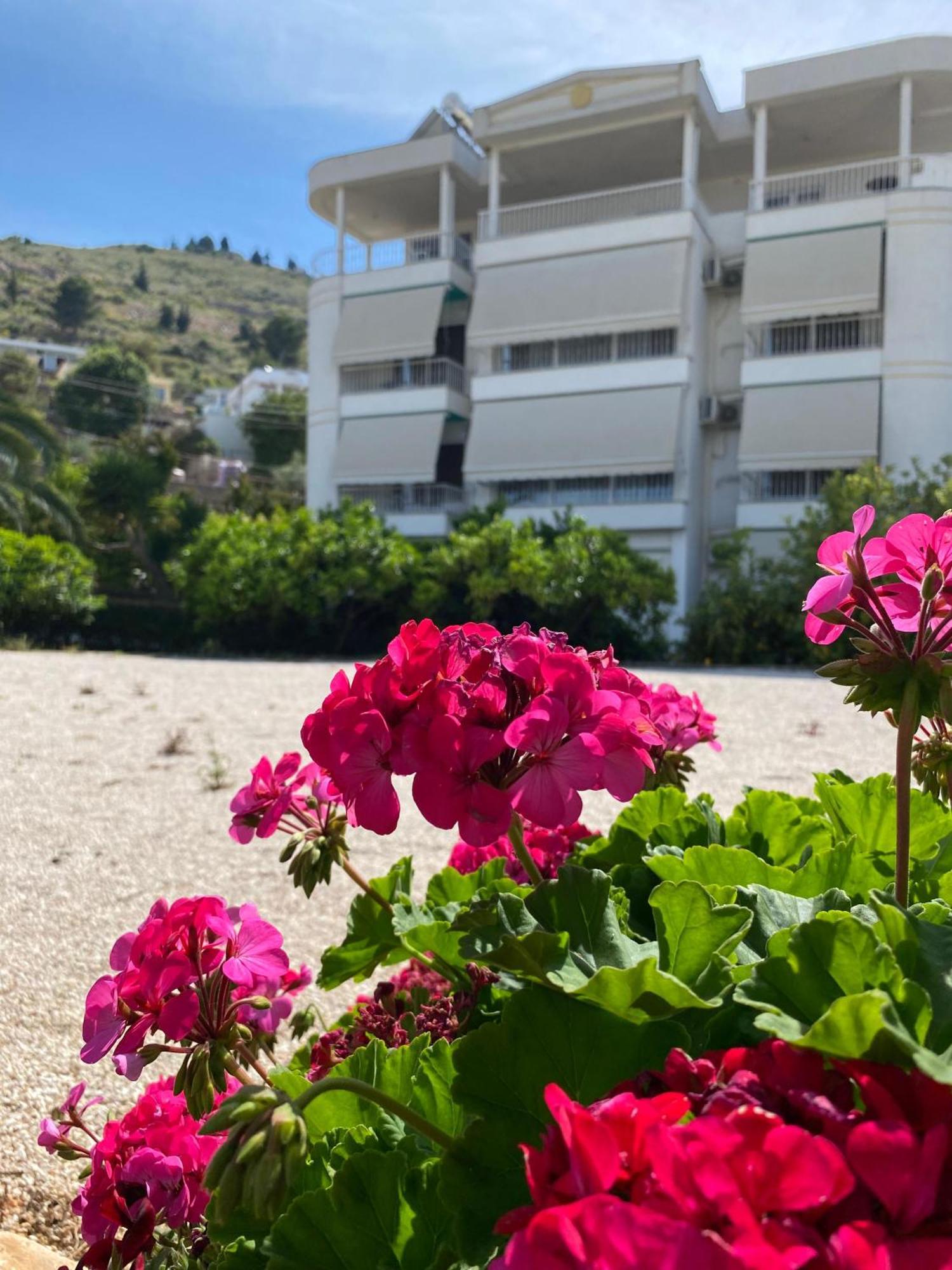Vila Marjana Sarandë Exterior foto